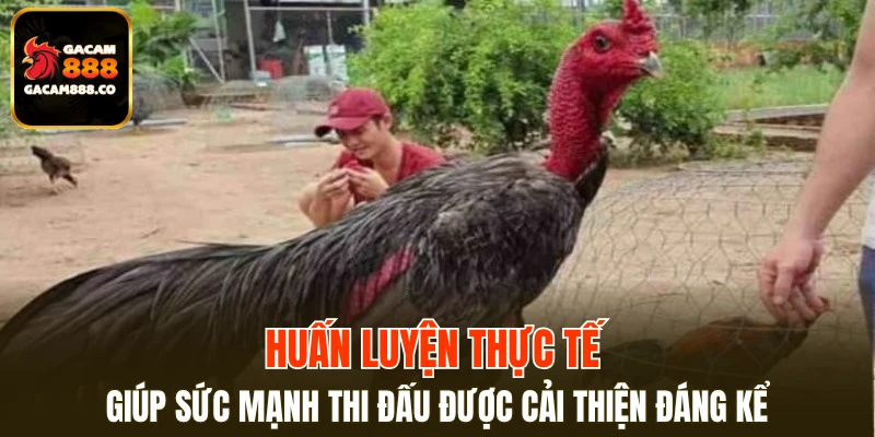 Huấn luyện thực tế giúp sức mạnh thi đấu được cải thiện đáng kể