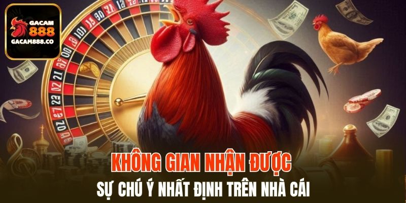 Không gian nhận được sự chú ý nhất định trên nhà cái