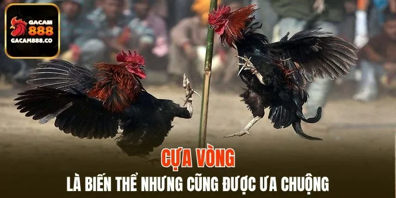Nền tảng là sân chơi đáng tin cậy nhất hiện nay