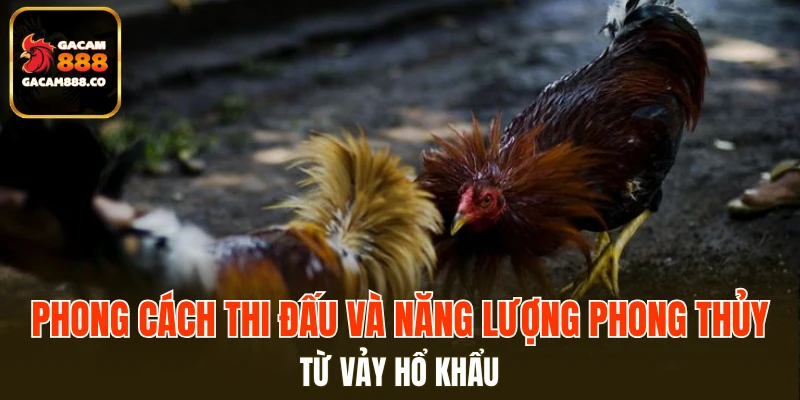 Phong cách thi đấu và năng lượng phong thủy từ vảy hổ khẩu