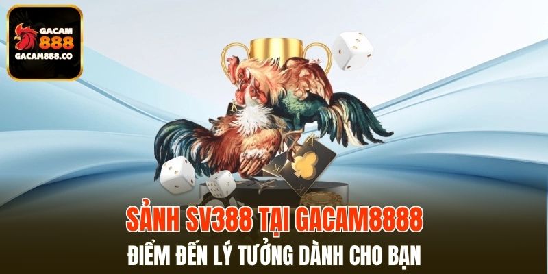 Sảnh SV388