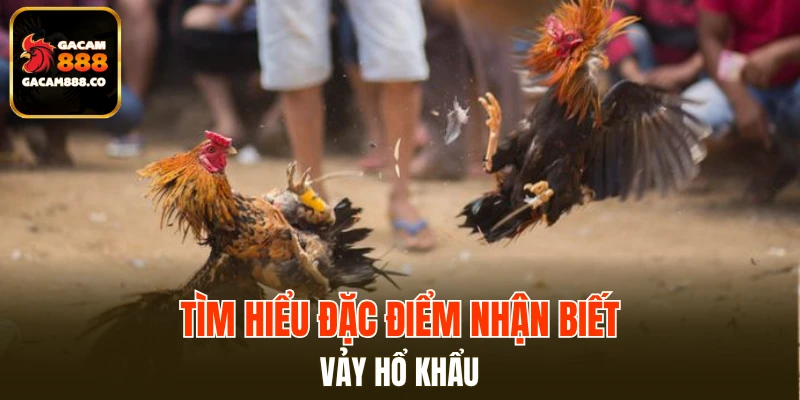 Tìm hiểu đặc điểm nhận biết vảy hổ khẩu